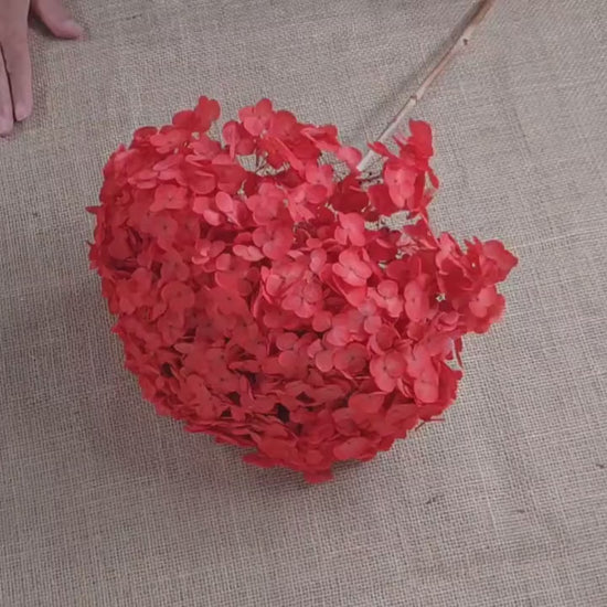 Red Preserved Hydrangea: Real Dried Wedding Flowers