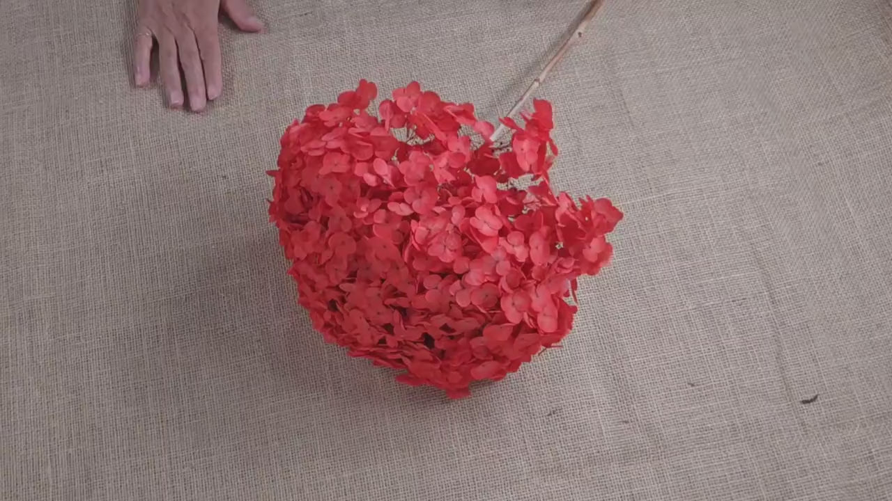 Red Preserved Hydrangea: Real Dried Wedding Flowers