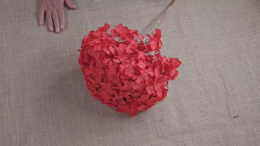 Red Preserved Hydrangea: Real Dried Wedding Flowers