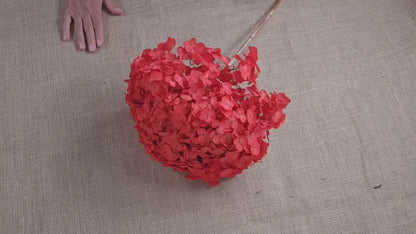 Red Preserved Hydrangea: Real Dried Wedding Flowers