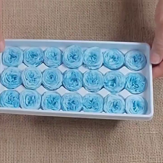 21 Sky Blue Preserved Roses: Dried Floral Wedding Decor