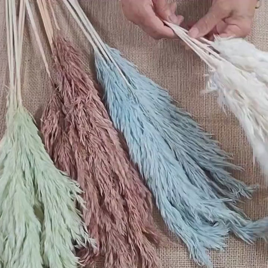 Dried Pampas Grass Bundle: Home Wedding Flower Arrangement