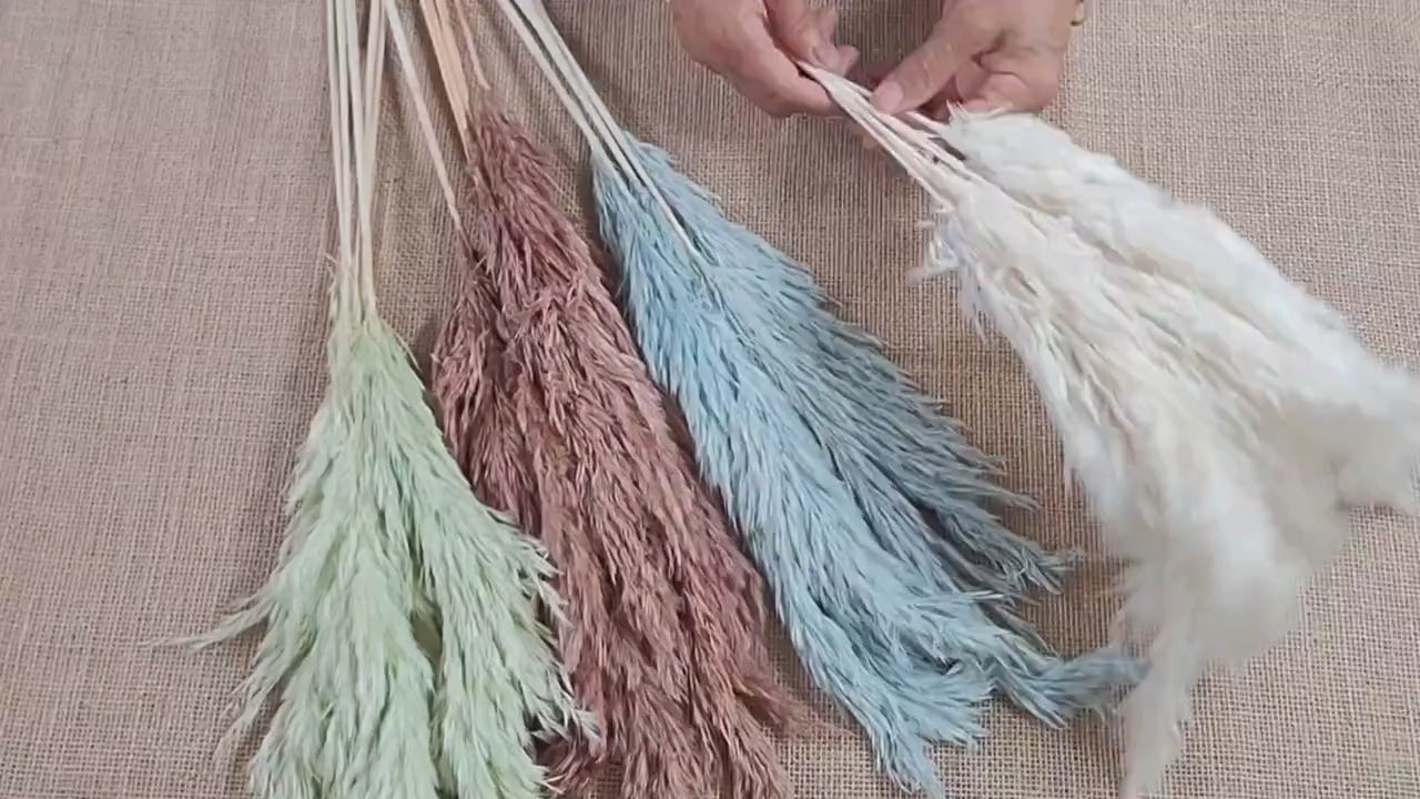 Dried Pampas Grass Bundle: Home Wedding Flower Arrangement