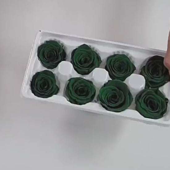 8 Pcs Preserved Black Roses: Rose Kanon Medium, Wedding Floral Decor