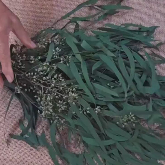 Preserved Eucalyptus Olive Seeded Willow Leaves for Indoor Home & Office Decor; Millet Leaf Party Decoration Plants
