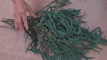 Preserved Eucalyptus Olive Seeded Willow Leaves for Indoor Home & Office Decor; Millet Leaf Party Decoration Plants