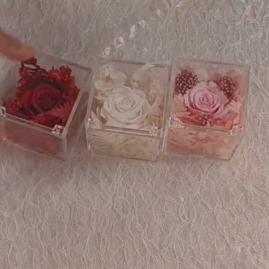 Forever Rose in Acrylic Box | Valentine's Day Gift