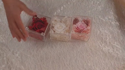 Forever Rose in Acrylic Box | Valentine's Day Gift