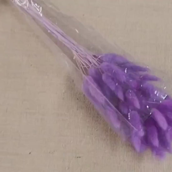 Purple Dried Bunny Tail Grass Stems: Boho Wedding Decor