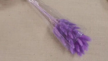 Purple Dried Bunny Tail Grass Stems: Boho Wedding Decor