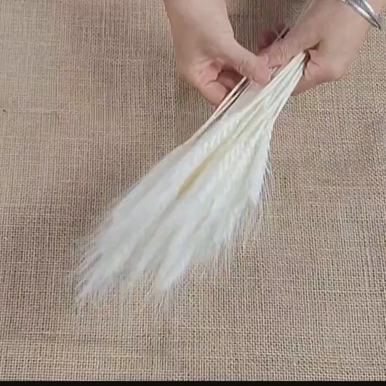 decorative natural plant dried real wheat shop decoration colorful flowers house decor grass wheat