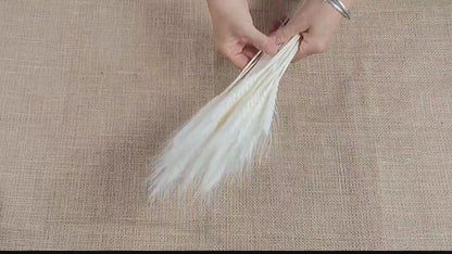 decorative natural plant dried real wheat shop decoration colorful flowers house decor grass wheat