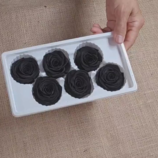 6 Black Preserved Roses: Large Floral Wedding Decor