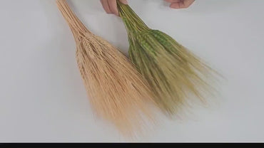 Dried Bearded Wheat Stalks: 20" Fall Wedding Floral Decor