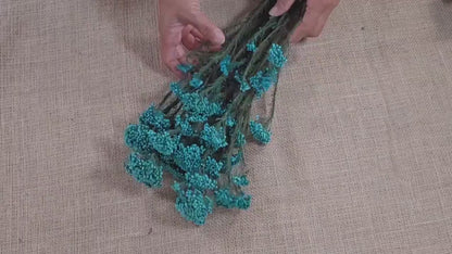 Blue Preserved Rice Flower: Dried Wedding Bouquet Filler (19-20" Tall)