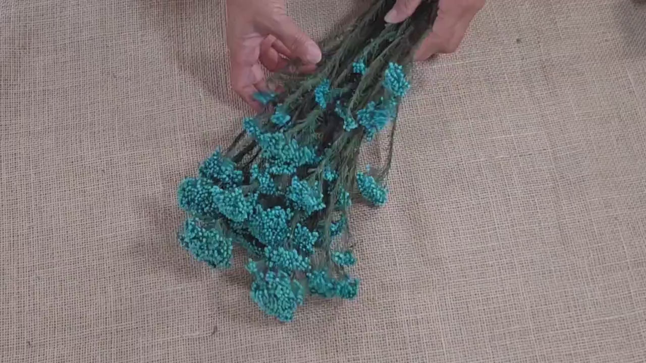 Blue Preserved Rice Flower: Dried Wedding Bouquet Filler (19-20" Tall)