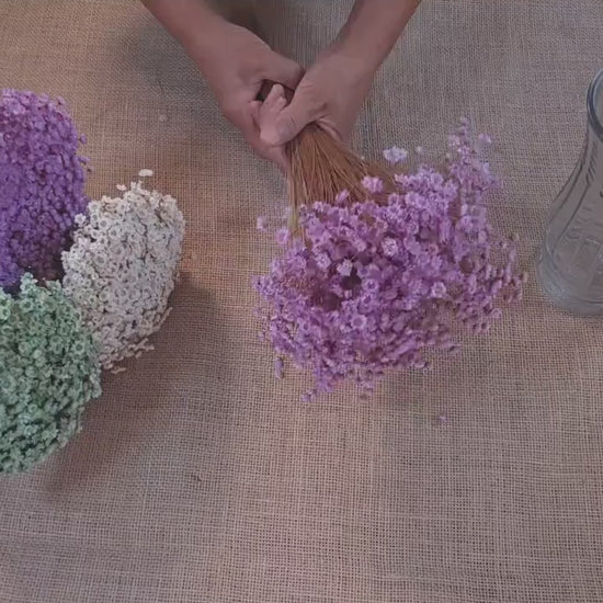 Pastel Dried Star Flowers: Wedding & Home Decor, 12" Tall