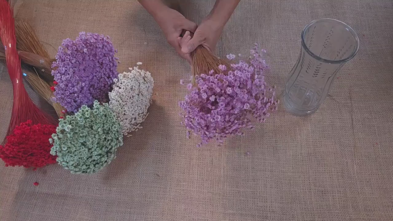Pastel Dried Star Flowers: Wedding & Home Decor, 12" Tall