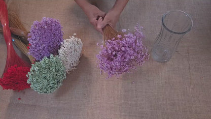 Pastel Dried Star Flowers: Wedding & Home Decor, 12" Tall