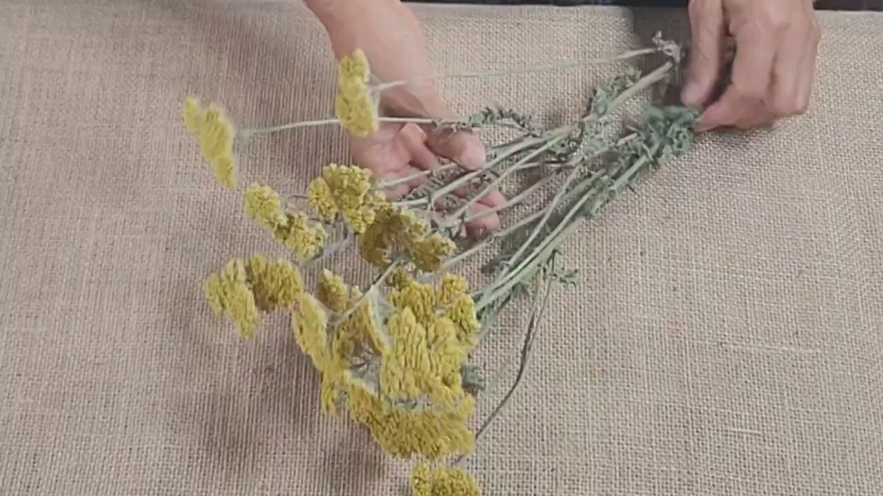 Dried Yellow Yarrow Bunch, Natural Floral Arrangement, Home Decor, 10 Stems