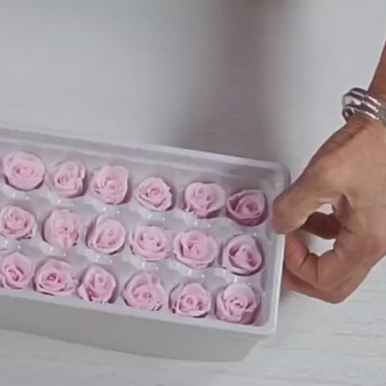 Preserved Roses - Natural Light  Pink -  For Prom, Christmas, Wedding - Dried Roses For Bouquet - Eternity Roses - Forever Roses - 21 Pack,