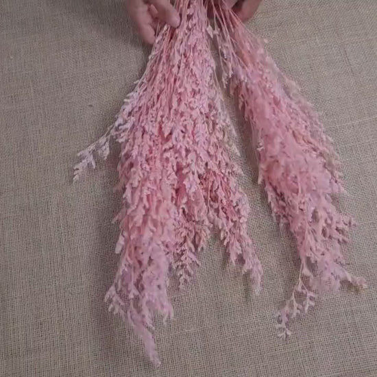 Pink Preserved Caspia: Soft Floral Arrangement, Wedding Home Decor