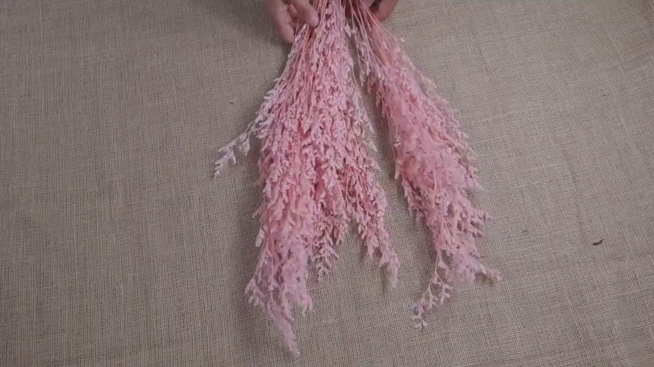 Pink Preserved Caspia: Soft Floral Arrangement, Wedding Home Decor