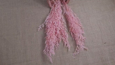 Pink Preserved Caspia: Soft Floral Arrangement, Wedding Home Decor