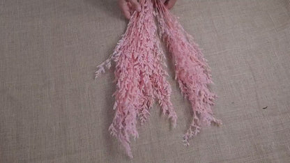 Pink Preserved Caspia: Soft Floral Arrangement, Wedding Home Decor