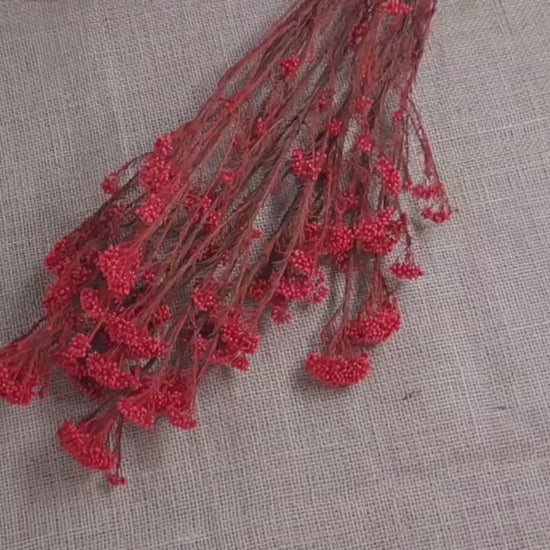 Red Preserved Rice Flower, Wedding Bouquet Filler, Floral Arrangement
