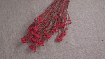 Red Preserved Rice Flower, Wedding Bouquet Filler, Floral Arrangement