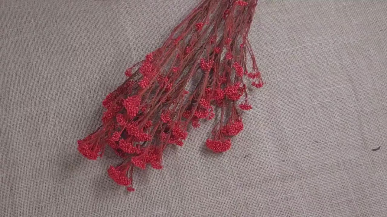 Red Preserved Rice Flower, Wedding Bouquet Filler, Floral Arrangement