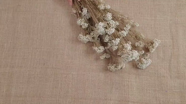 Beige Preserved Rice Flower: Dried Floral Arrangement, Wedding Decor (19-20" Tall)