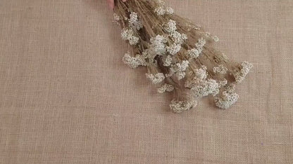 Beige Preserved Rice Flower: Dried Floral Arrangement, Wedding Decor (19-20" Tall)