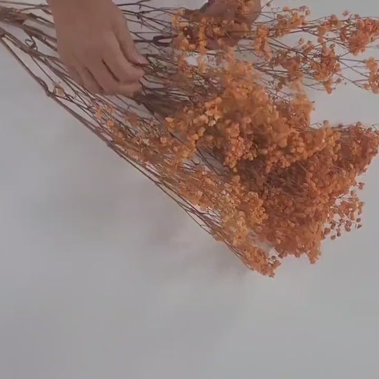 Orange Preserved Baby's Breath Bundle: Natural Gypsophila, Dried Flowers