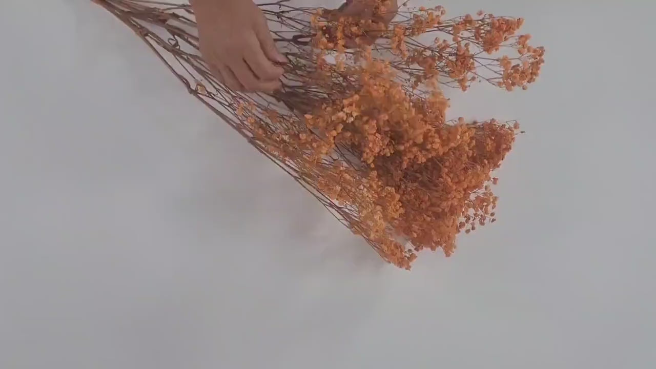 Orange Preserved Baby's Breath Bundle: Natural Gypsophila, Dried Flowers