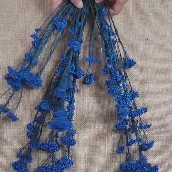 Royal Blue Preserved Rice Flower: Wedding Bouquet Filler (19-20" Tall)
