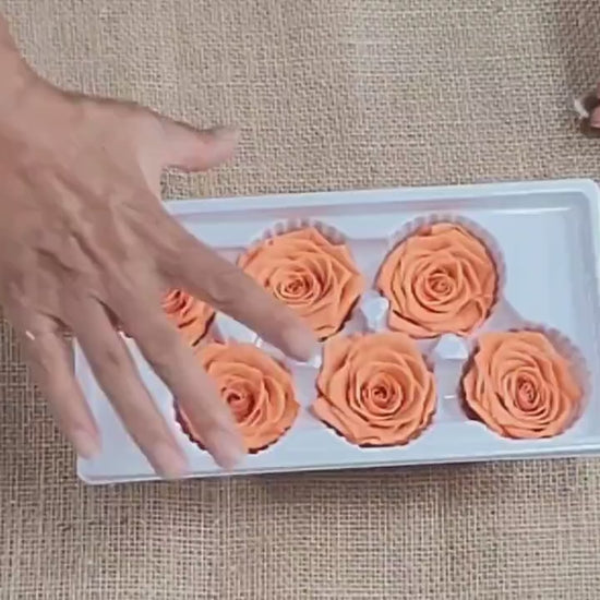 6 Orange Preserved Roses: DIY Floral Arrangements