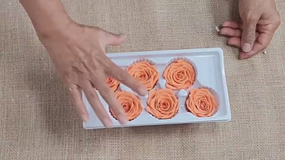 6 Orange Preserved Roses: DIY Floral Arrangements
