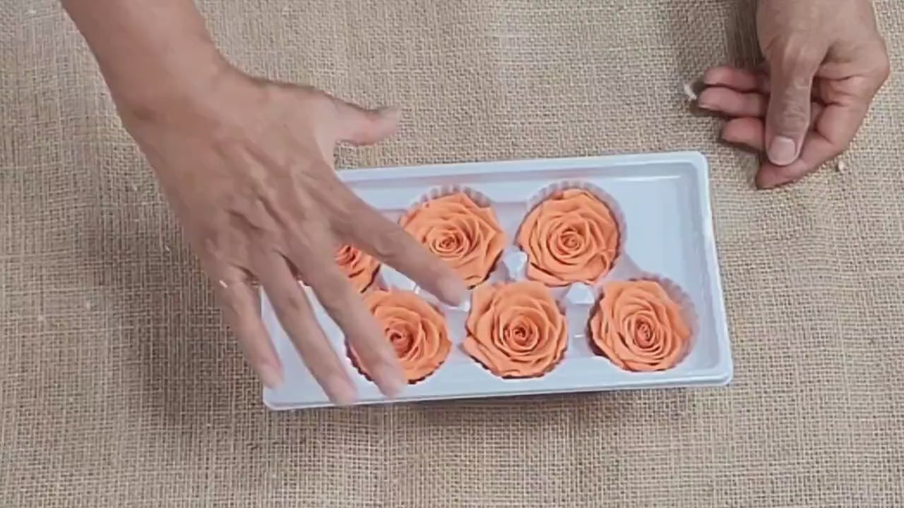 6 Orange Preserved Roses: DIY Floral Arrangements