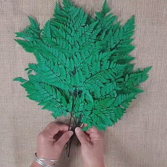 Preserved Fern, Green Leather Leaf, 10 Stems Preserved Soft and Whispy Wedding Ferns-Tree Fern-Pink Ferns-Floral Decor