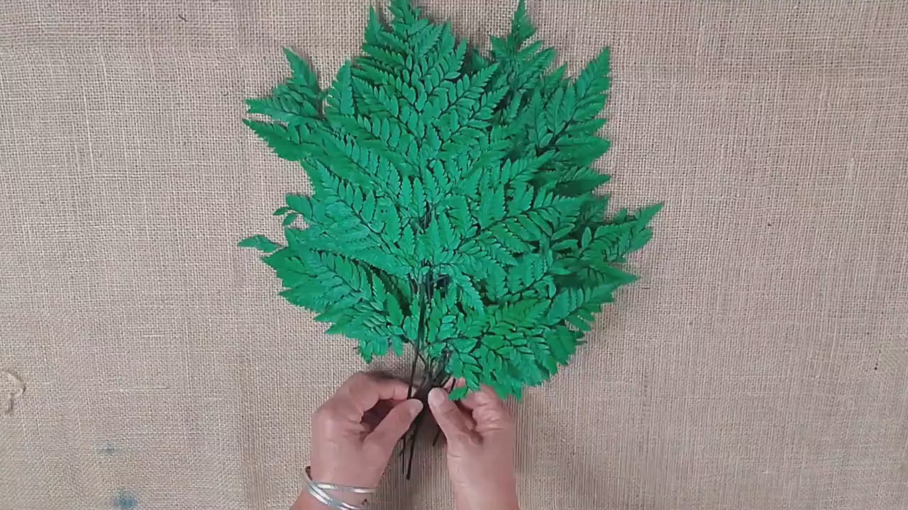 Preserved Fern, Green Leather Leaf, 10 Stems Preserved Soft and Whispy Wedding Ferns-Tree Fern-Pink Ferns-Floral Decor