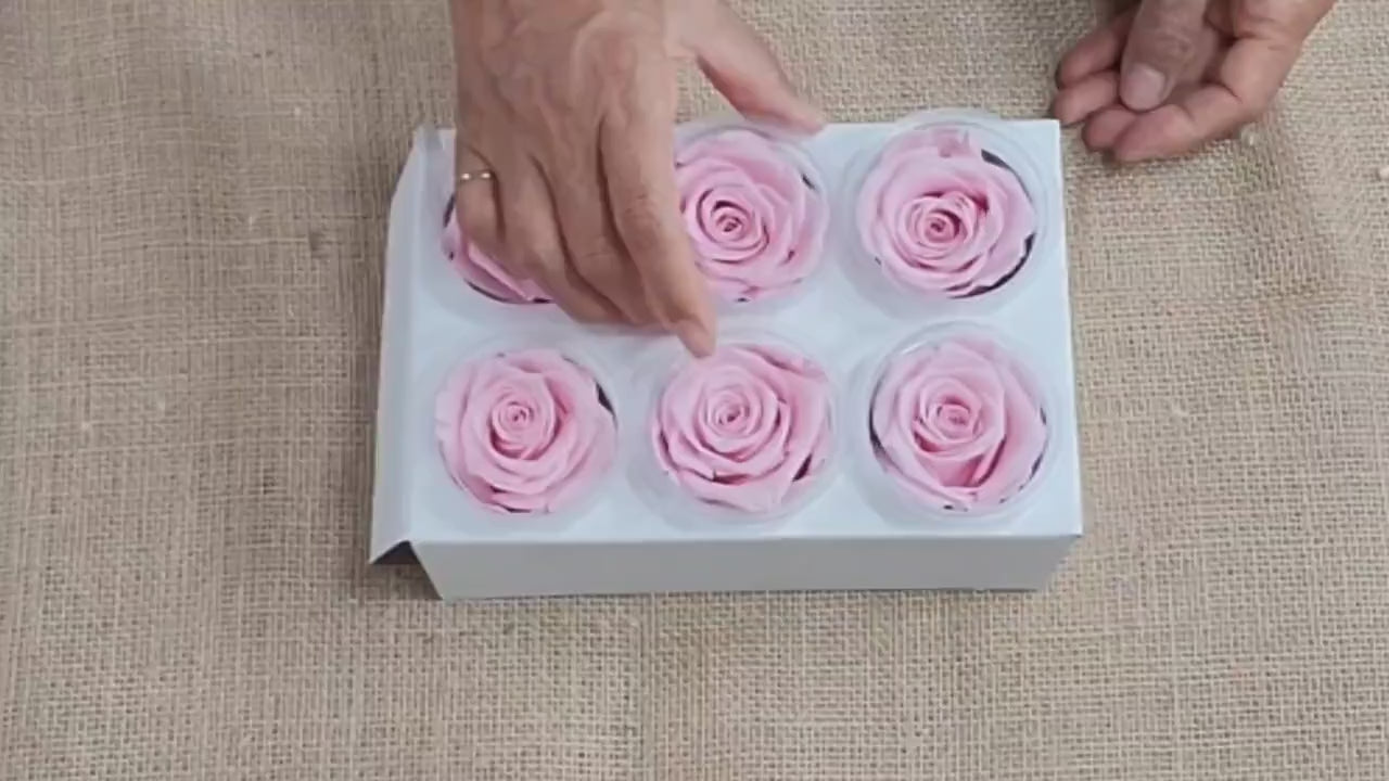 6 Light Pink Preserved Roses: DIY Floral Arrangements