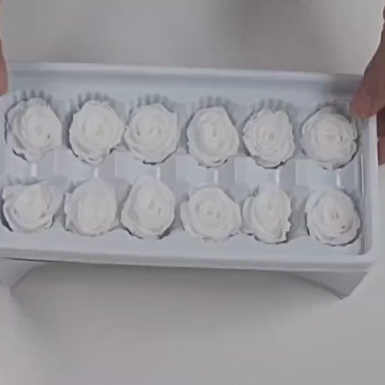 12 White Preserved Roses: DIY Floral Arrangements, Wedding Decor