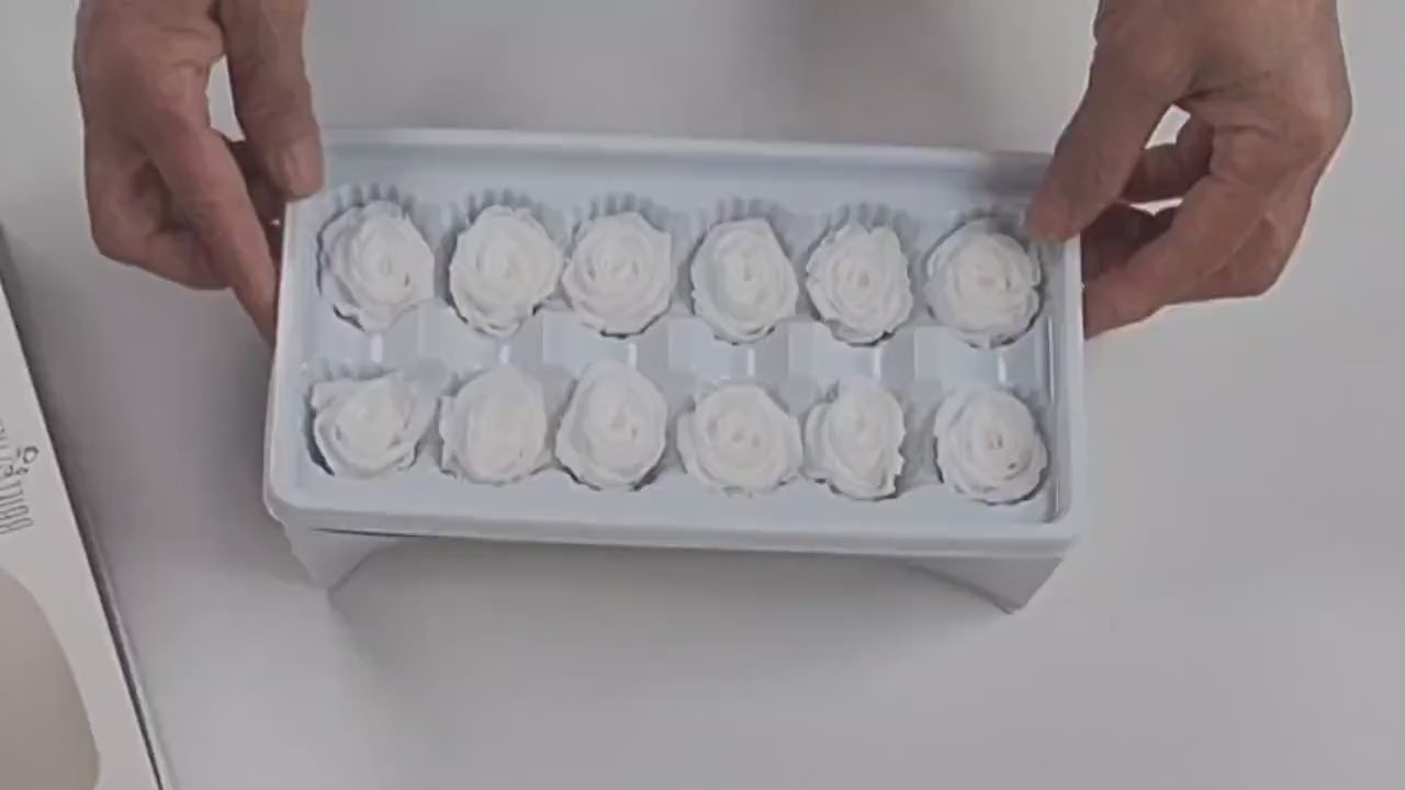 12 White Preserved Roses: DIY Floral Arrangements, Wedding Decor
