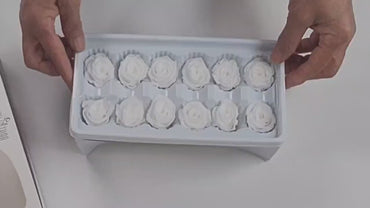 12 White Preserved Roses: DIY Floral Arrangements, Wedding Decor