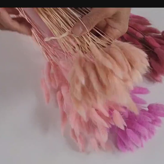 Pink Dried Bunny Tail Grass Stems: Boho Wedding Decor (60 stems, 19" long)