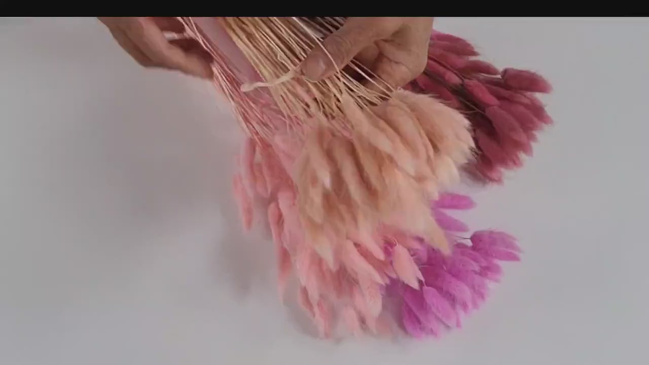 Pink Dried Bunny Tail Grass Stems: Boho Wedding Decor (60 stems, 19" long)