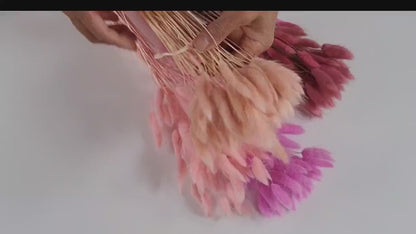 Pink Dried Bunny Tail Grass Stems: Boho Wedding Decor (60 stems, 19" long)