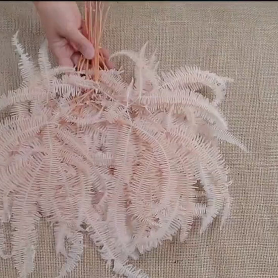 Light Pink Preserved Mountain Fern Leaf: Floral Arrangement, Vase Bouquet